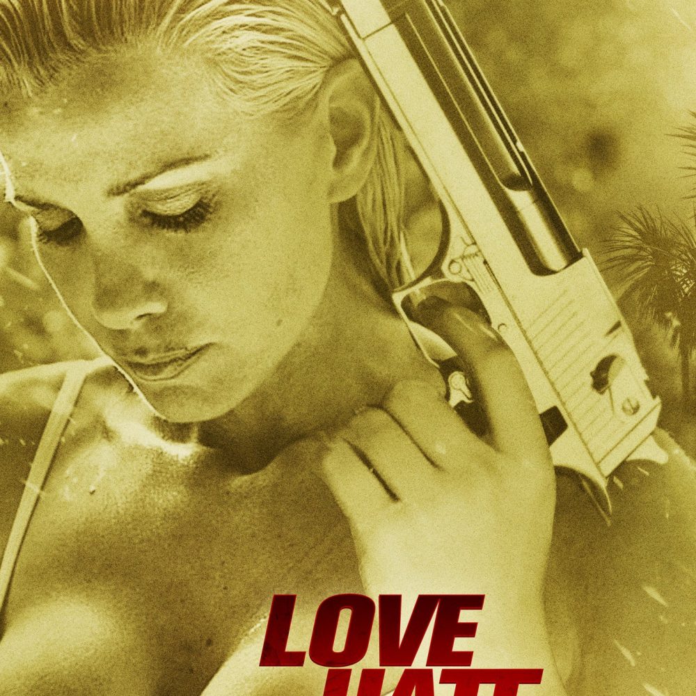 Love, Hate & Security (2014)